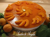 Cheesecake alle albicocche